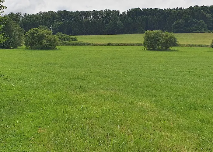 Am Finkenweg Appartement *